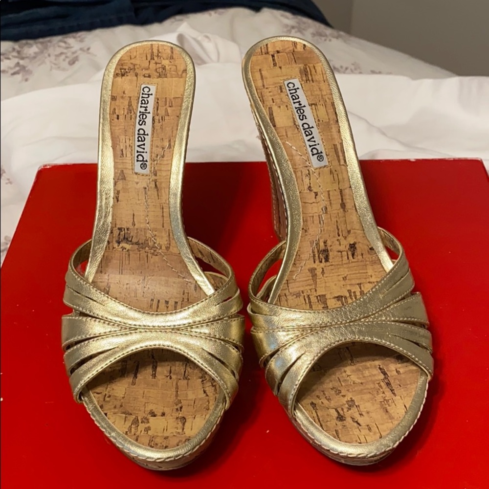 Charles David wedges